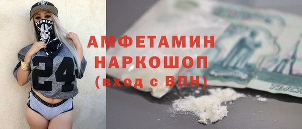 шишки Пестово