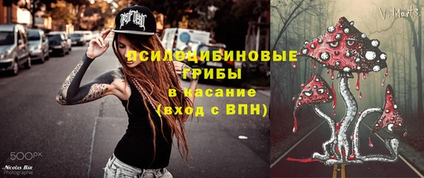 тгк Аркадак