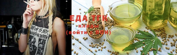 шишки Пестово